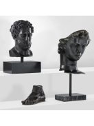 Head David bronz bevonatú márvány talp