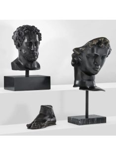 Head David bronz bevonatú márvány talp