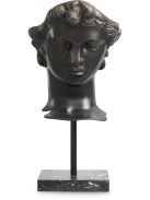 Head David bronz bevonatú márvány talp
