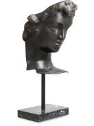 Head David bronz bevonatú márvány talp