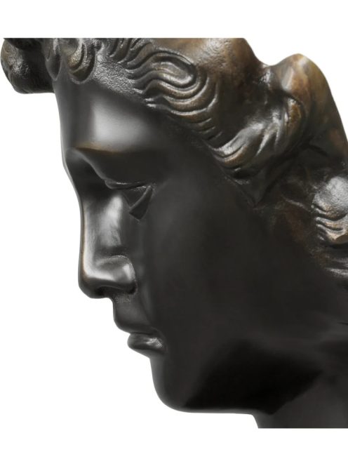 Head David bronz bevonatú márvány talp