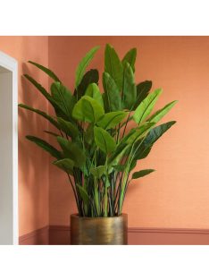 Strelitzia M műnövény zöld