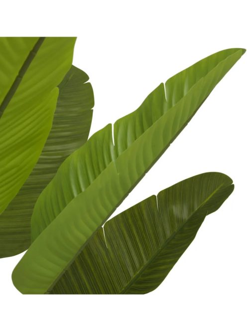 Strelitzia M műnövény zöld
