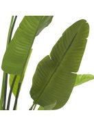 Strelitzia M műnövény zöld