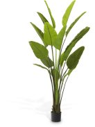 Mesterséges növény Strelitzia L zöld