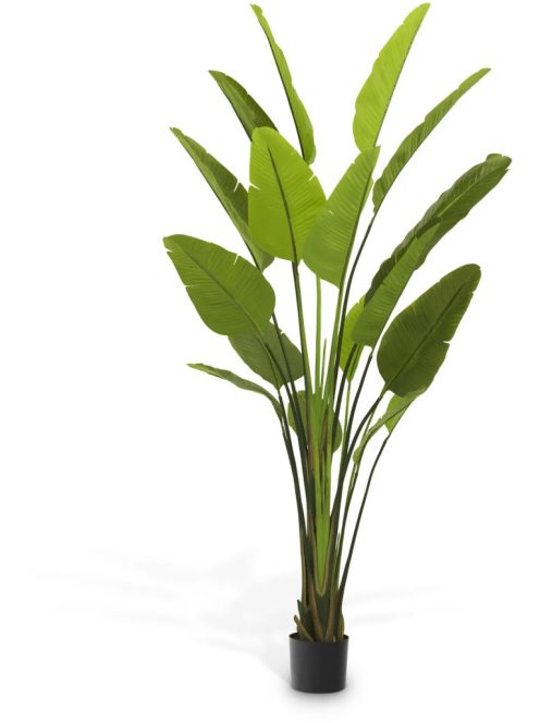 Mesterséges növény Strelitzia L zöld
