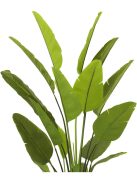 Mesterséges növény Strelitzia L zöld