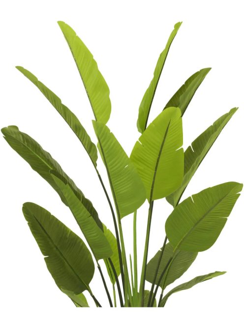 Mesterséges növény Strelitzia L zöld
