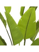 Mesterséges növény Strelitzia L zöld
