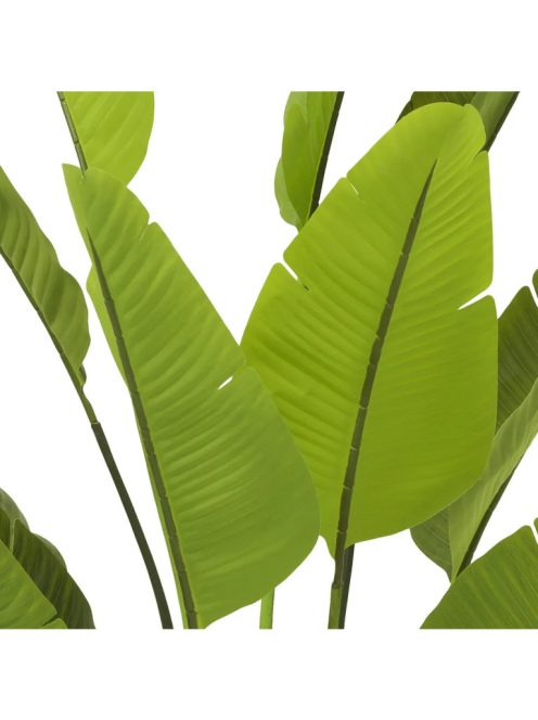 Mesterséges növény Strelitzia L zöld