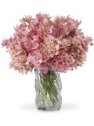 Cymbidium orchidea csokor rózsaszín és barack árnyalatokkal, igazi érintés 36 db/2 fajta