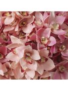 Cymbidium orchidea csokor rózsaszín és barack árnyalatokkal, igazi érintés 36 db/2 fajta