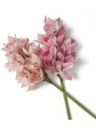 Cymbidium orchidea csokor rózsaszín és barack árnyalatokkal, igazi érintés 36 db/2 fajta
