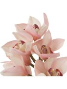 Cymbidium orchidea csokor rózsaszín és barack árnyalatokkal, igazi érintés 36 db/2 fajta