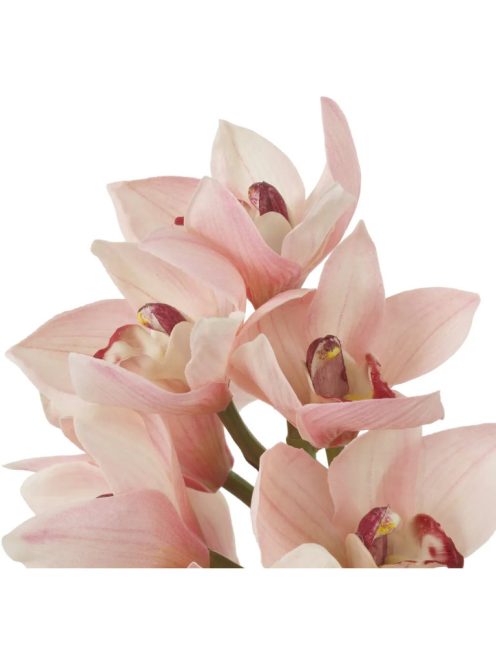 Cymbidium orchidea csokor rózsaszín és barack árnyalatokkal, igazi érintés 36 db/2 fajta
