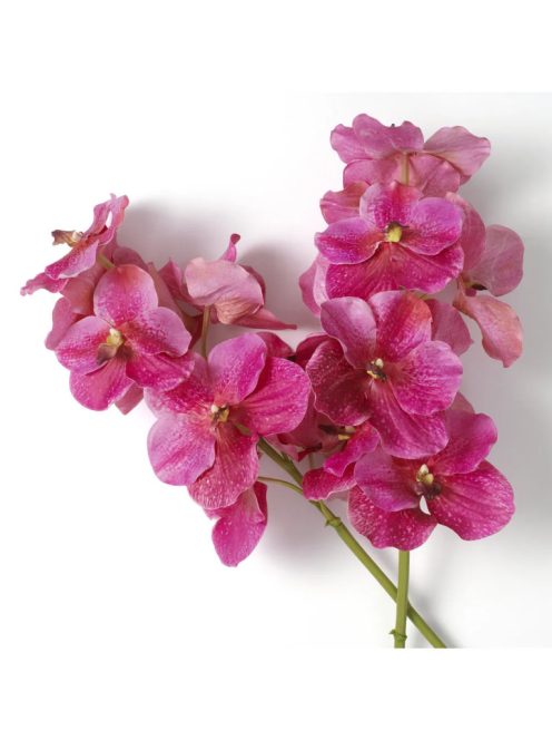 Vanda orchidea csokor rózsaszín, igazi tapintású 24 db