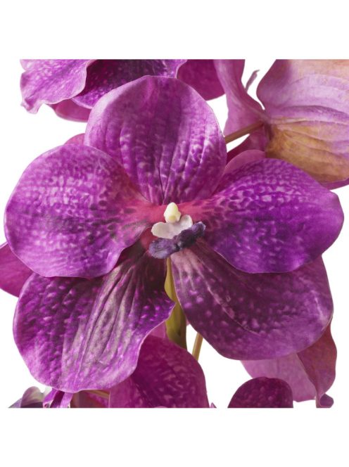 Vanda orchidea csokor fukszia igazi tapintású 24 db