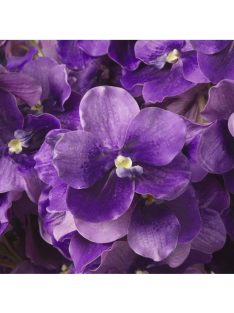Vanda orchidea csokor lila, igazi tapintású 24 db