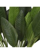 Strelitzia levelek kötege 36 db