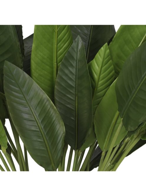 Strelitzia levelek kötege 36 db