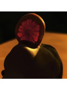 Nyomtatás Philippe Vogelenzang - Vitamin szájon át